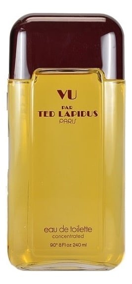 vu de ted lapidus